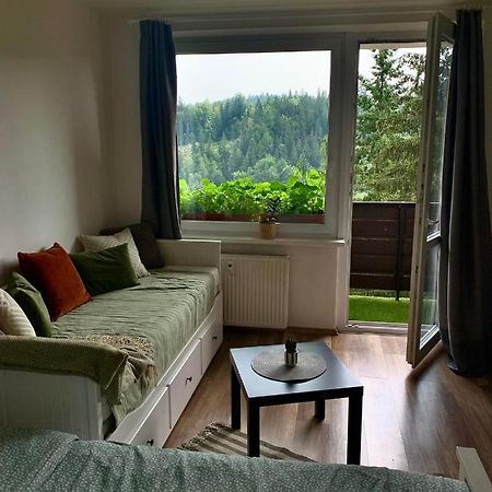 Apartmánek Protěž Janské Lázně Exterior foto