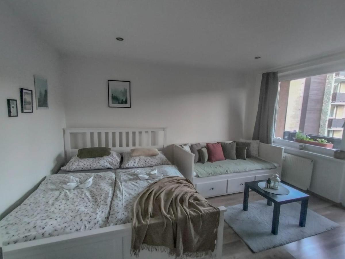 Apartmánek Protěž Janské Lázně Exterior foto