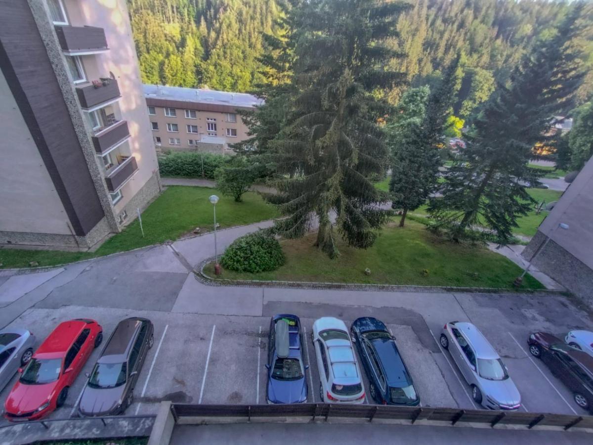 Apartmánek Protěž Janské Lázně Exterior foto