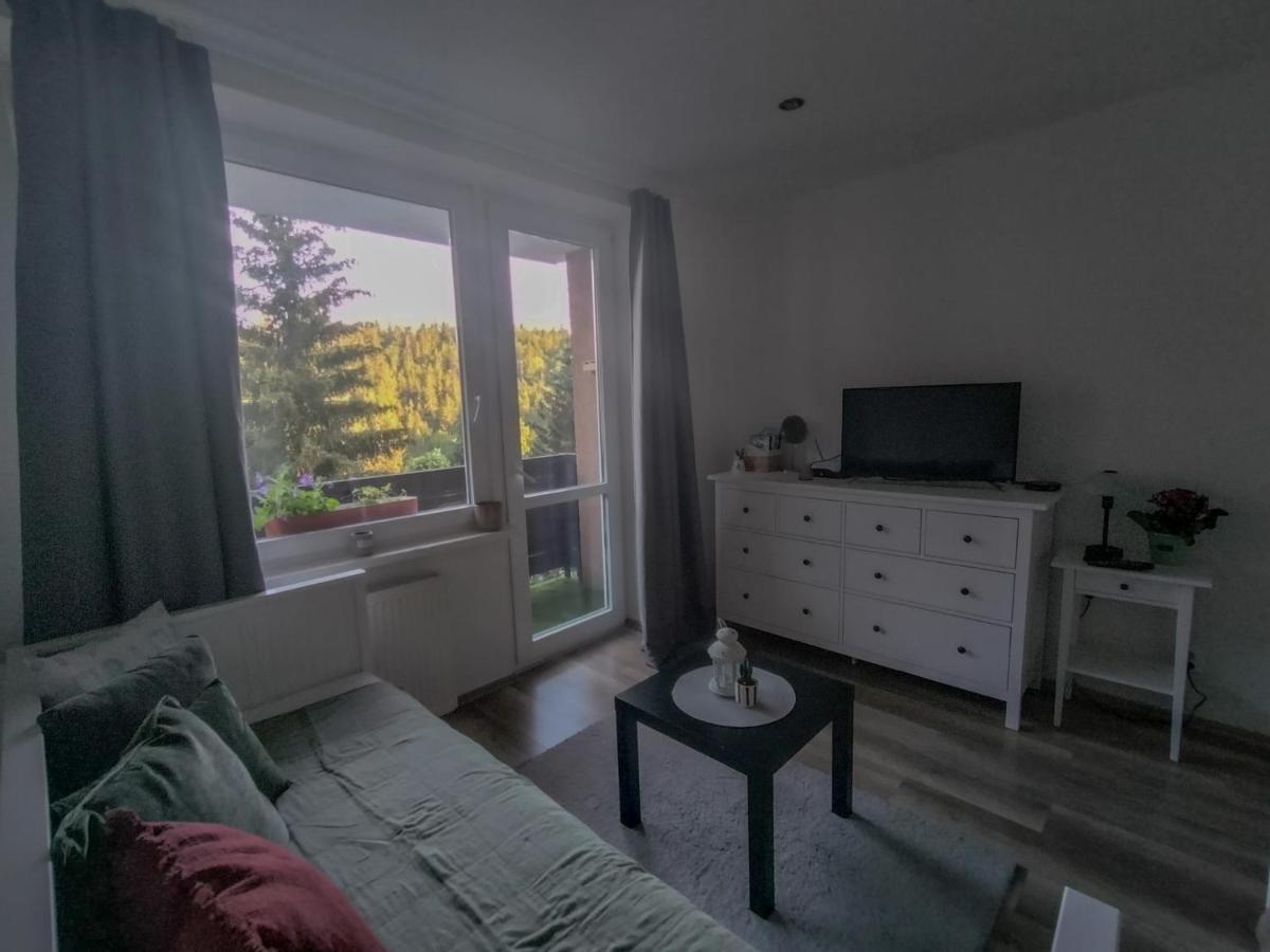 Apartmánek Protěž Janské Lázně Exterior foto