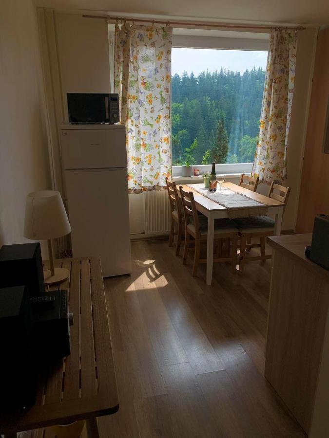 Apartmánek Protěž Janské Lázně Exterior foto